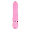 Easytoys Mini Vibe Collection Vibrador Love Diamond Rosa 1 Easytoys Mini Vibe Collection Vibrador Love Diamond Rosa -Ideas para regalos comercio 1625142067.ET086PNK