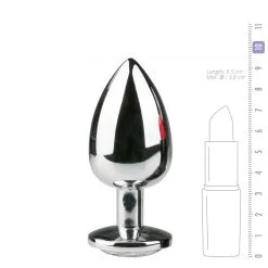 Easytoys Anal Collection Plug Anal Metálico -Ideas para regalos comercio 1625142350.ET126CLR 4
