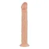 Real Fantasy Shawn Realistic Dildo -Ideas para regalos comercio 1625146579.RF005SKN