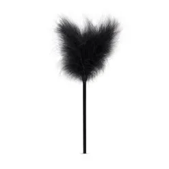 Secret Pleasure Chest - Black Fantasy -Ideas para regalos comercio 1625146708.LBX402 11