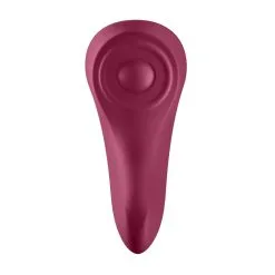 Bragas Con Vibrador Controlado Por Aplicación Satisfyer Sexy Secret -Ideas para regalos comercio 1625157336.J2018 98 6